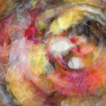 Load image into Gallery viewer, Card Package #1 Gifts of Nature