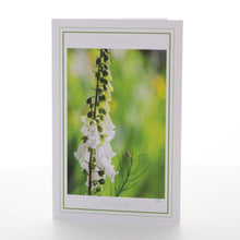 Load image into Gallery viewer, "Summer Welcome" Greeting Card