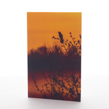 Load image into Gallery viewer, "Evening Watch" Greeting Card