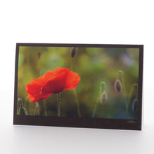 Load image into Gallery viewer, Garden Love Package #3 + Stamps + Notepad