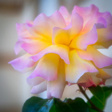 Load image into Gallery viewer, "Balance" Greeting Card