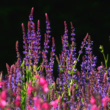 Load image into Gallery viewer, "Bright Spaces" Greeting Card