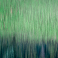 Load image into Gallery viewer, Forest Breath