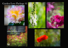 Load image into Gallery viewer, Garden Love Package #1