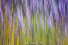 Load image into Gallery viewer, Card Package #2 Gifts of Lakes & Land