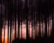 Load image into Gallery viewer, Lingering Connection