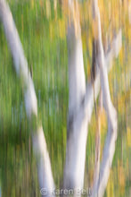 Load image into Gallery viewer, Card Package #1 Gifts of Nature