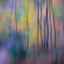 Load image into Gallery viewer, Melodies of Colour