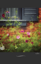 Load image into Gallery viewer, Garden Love Package #1