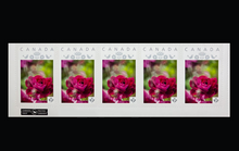 Load image into Gallery viewer, Garden Love Package #3 + Stamps + Notepad