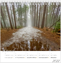 Load image into Gallery viewer, Desk Calendar 2022