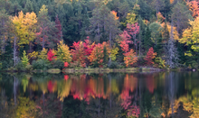 Load image into Gallery viewer, "Vivid Existence" Greeting Card