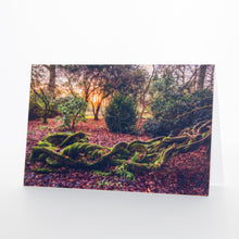 Load image into Gallery viewer, &quot;Souls Entwined&quot; Greeting Card
