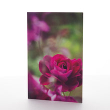Load image into Gallery viewer, Garden Love Package #1
