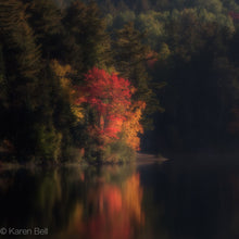 Load image into Gallery viewer, &quot;Bliss of Solitude&quot; Greeting Card
