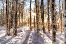 Load image into Gallery viewer, Card Package - Winter Holiday Love #1
