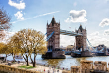 Load image into Gallery viewer, Crossing
