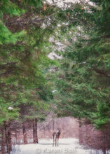 Load image into Gallery viewer, Card Package - Winter Holiday Love #1
