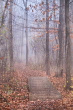 Load image into Gallery viewer, &quot;In the Company of Trees&quot; Greeting Card
