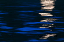 Load image into Gallery viewer, In the Moonlight
