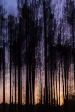 Load image into Gallery viewer, Light Lingers
