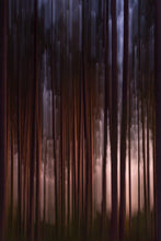 Load image into Gallery viewer, On the Edge of Night
