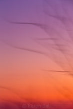 Load image into Gallery viewer, Spirit of Hope
