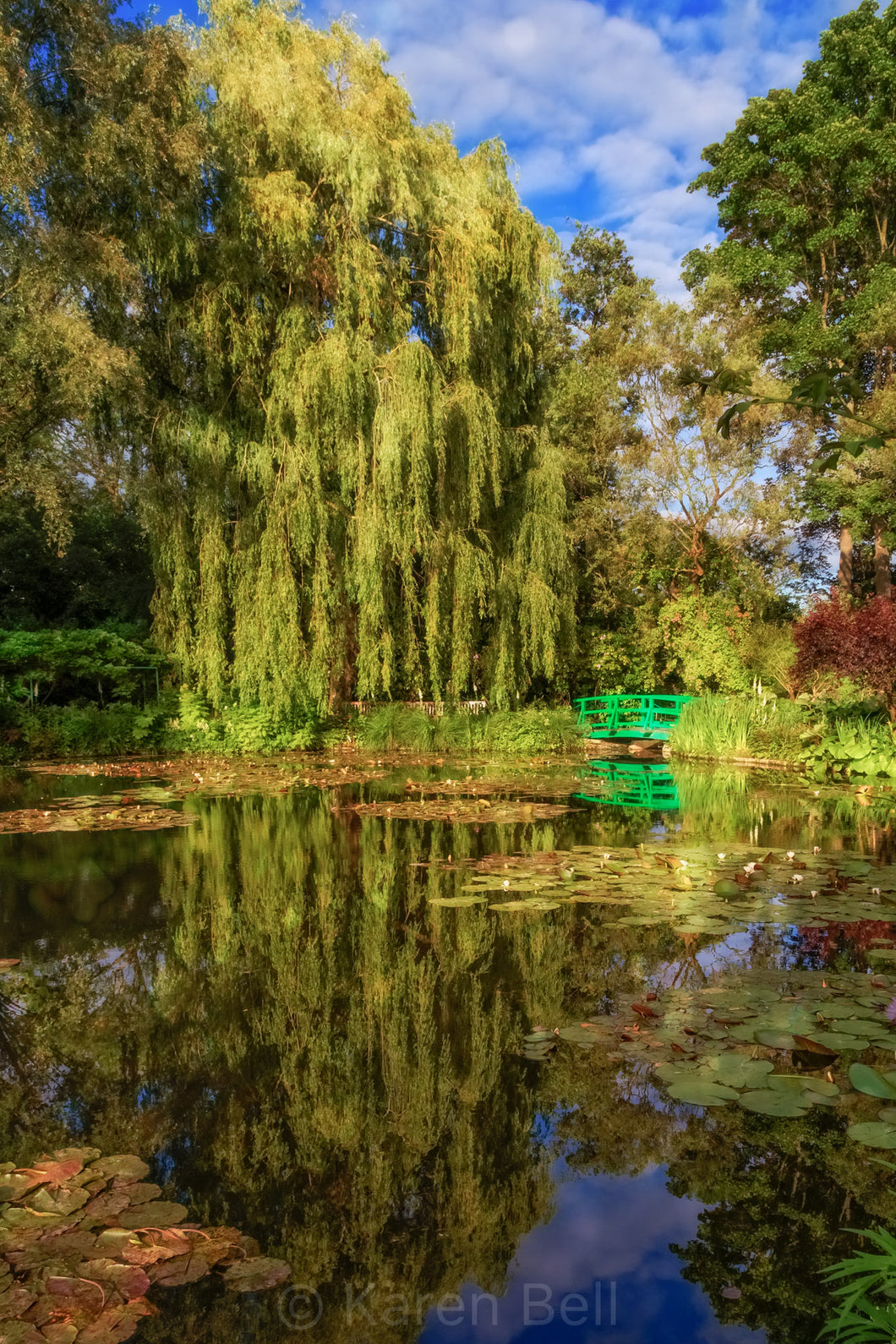 Where Inspiration Lives, Monet's Garden