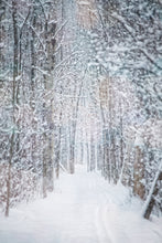 Load image into Gallery viewer, Card Package - Winter Holiday Love #1
