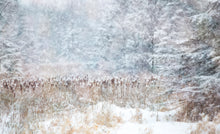 Load image into Gallery viewer, Card Package - Winter Holiday Love #1
