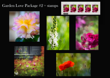 Load image into Gallery viewer, Garden Package #2 + Stamps
